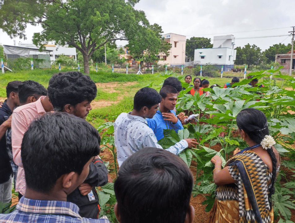Sri Venkateswaraa University Ettayapuram Agricultural campus photo 3